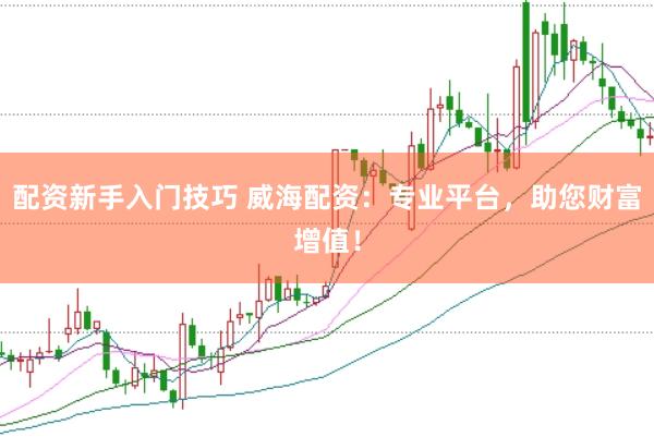 配资新手入门技巧 威海配资：专业平台，助您财富增值！