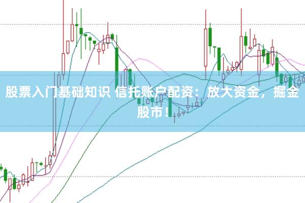 股票入门基础知识 信托账户配资：放大资金，掘金股市！