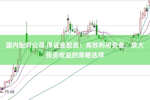 国内配资公司 保证金配资：高效利用资金，放大投资收益的策略选择