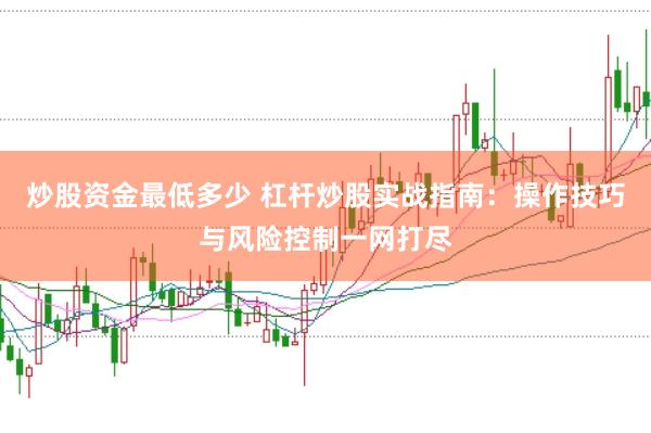 炒股资金最低多少 杠杆炒股实战指南：操作技巧与风险控制一网打尽