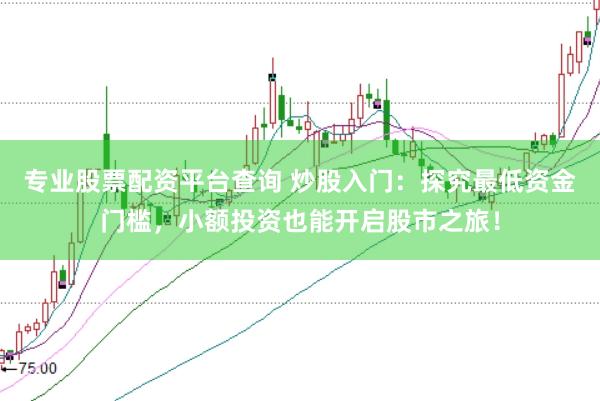 专业股票配资平台查询 炒股入门：探究最低资金门槛，小额投资也能开启股市之旅！