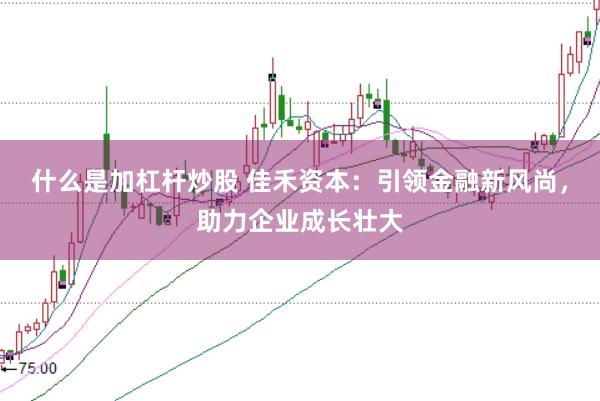 什么是加杠杆炒股 佳禾资本：引领金融新风尚，助力企业成长壮大