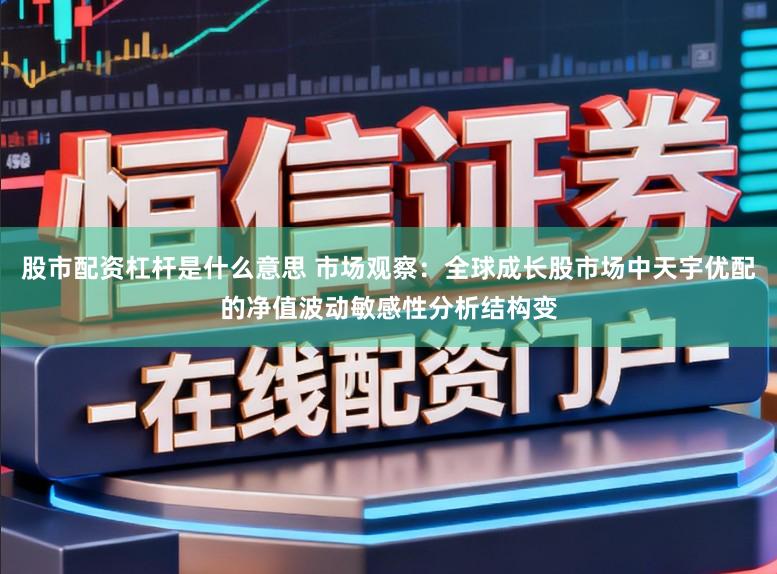 股市配资杠杆是什么意思 市场观察：全球成长股市场中天宇优配的净值波动敏感性分析结构变