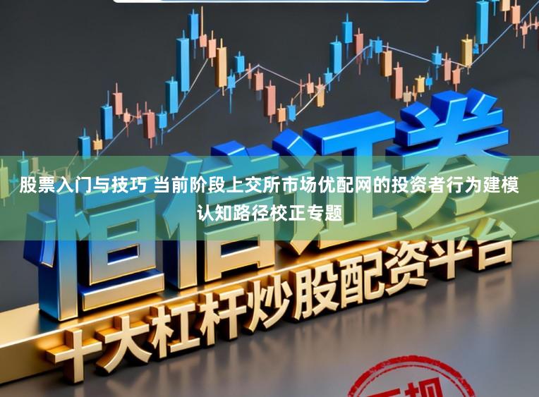 股票入门与技巧 当前阶段上交所市场优配网的投资者行为建模认知路径校正专题
