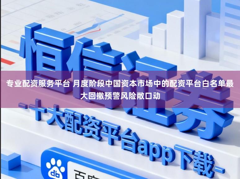 专业配资服务平台 月度阶段中国资本市场中的配资平台白名单最大回撤预警风险敞口动